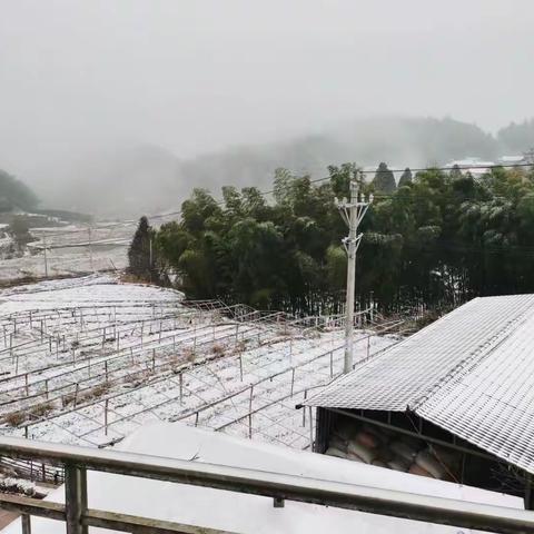 2021的第一场雪❄️