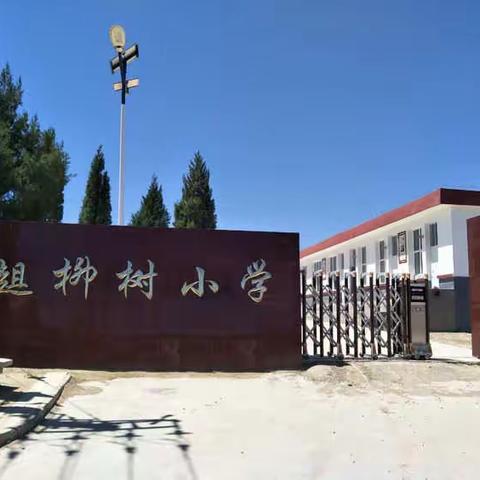 教学视导为引领 反思研讨促提高---趄柳树小学教学视导活动