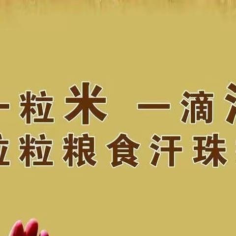 “节粮爱粮，我们在行动”———丛台区兼庄乡中心校东耒马台学校节粮爱粮宣传周活动纪实