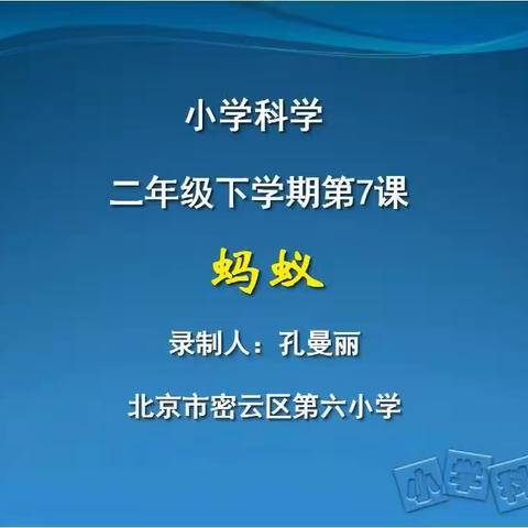 二年级科学第八周在线学习：《蚂蚁》