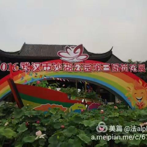 武汉沙湖公園荷花展