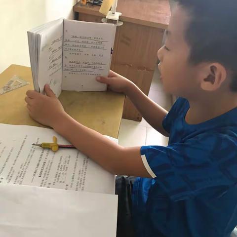 班班有读十五期张扬打卡11天