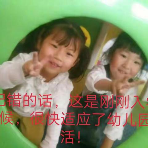 四年幼儿园时光感谢陪我长大