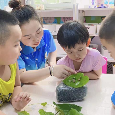 学习使用放大镜🔍