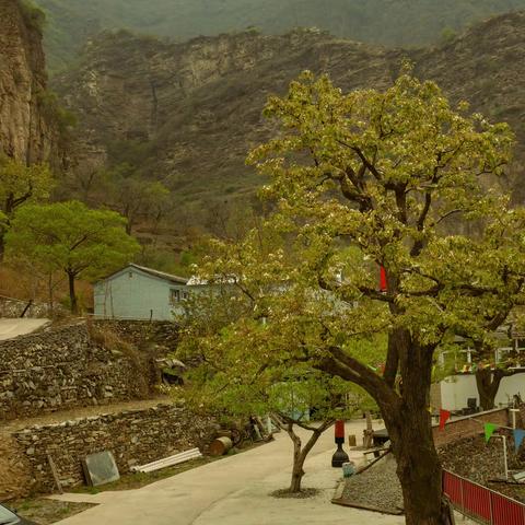 北京房山大滩--深山坳处的梨花村