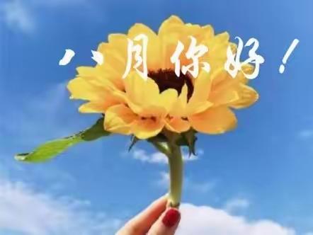 南金城八期2023年8月份，物业工作简报