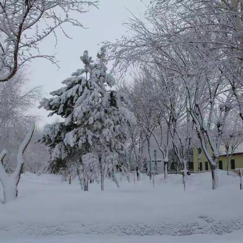 2011年1月份新疆哈巴河县雪景！