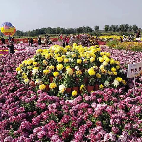 山西风光美 同学情意浓	——陕县二中七五二班同学赴芮城游玩掠影