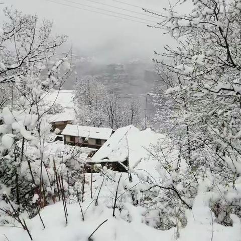 竹林村四月的春雪