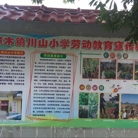 美好生活，劳动创造——樟木镇川山小学劳动教育主题实践活动