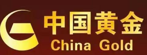 中国黄金拍了拍你说：“该选礼物了”