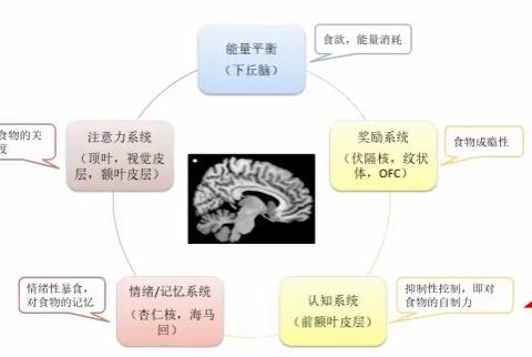 “减重降糖，重拾健康”——我们团队在行动