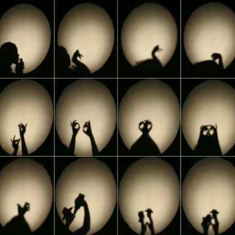 芦山县第二幼儿园“抗击疫情，快乐宅家——手影游戏”