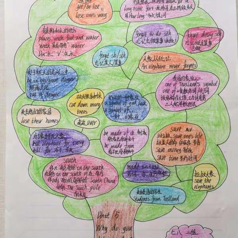 八班 英语七下 第五单元知识点 思维导图 优秀作品