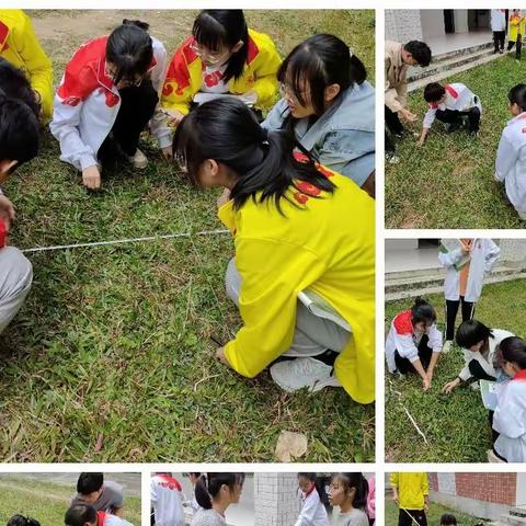 容县杨梅中学高二级开展生物实验探究活动——调查草地植物种群密度