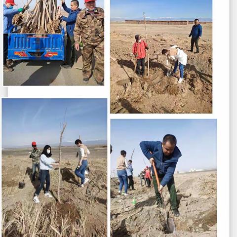 植树造林，助力乡村振兴