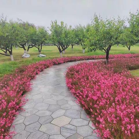 【曲江大明宫遗址】养护工作｜ 立夏之时 多措并举巩固养护成果