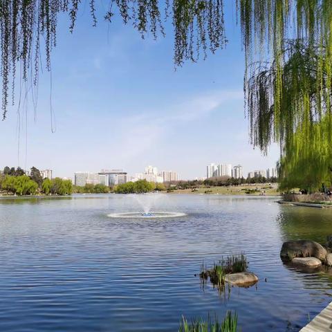 【曲江大明宫遗址保护区】山河无恙 春暖花开｜建设公司精细养护“三月花繁已满园”