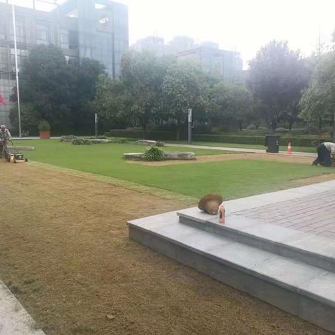 【曲江大明宫遗址区】养护工作｜草坪交播 为秋冬季节添绿意