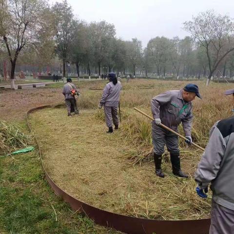 【曲江大明宫遗址区】养护工作｜ 秋冬季 绿化工作不停歇  园林养护正当时（一）