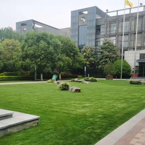 【曲江大明宫遗址】养护工作｜人间四月天，养护正当时