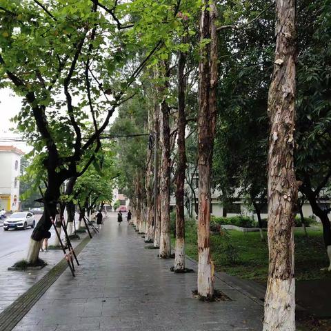 “乡村教师访名校培训班”学习之旅第二天