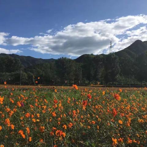 驰骋草原纵情山水