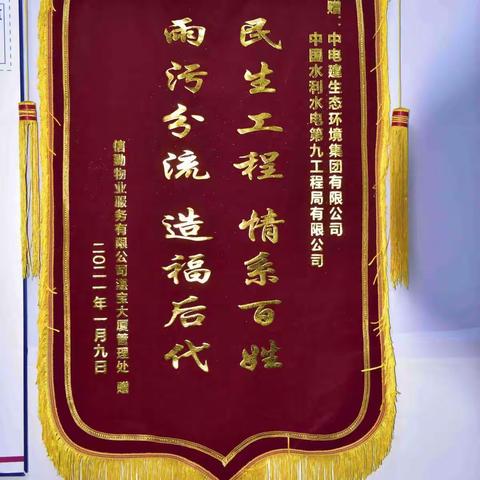 民生工程赢民心  居民致谢送锦旗