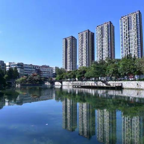 献礼祖国，横岗人民公园人工湖换新颜迎宾客