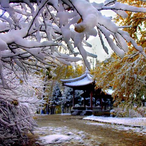 小城初雪