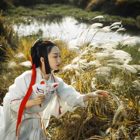 空中芦苇