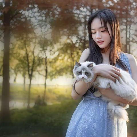 漫步杉丛林