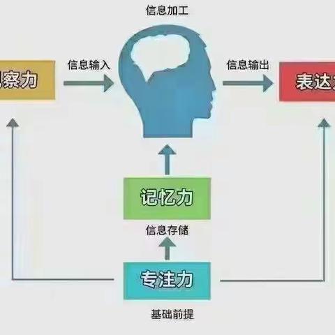 大脑的发展不受感官刺激，是无法健全成长的。