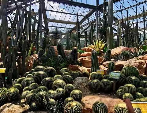 2021年广州一日游(华南植物园)（2）