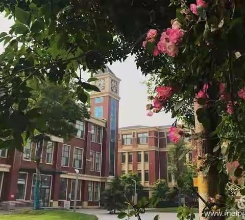 行李提前进校园，精心准备迎复学           ——记凤华小学复学准备工作之行李进校篇