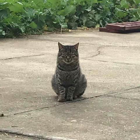 又见炊烟·重阳