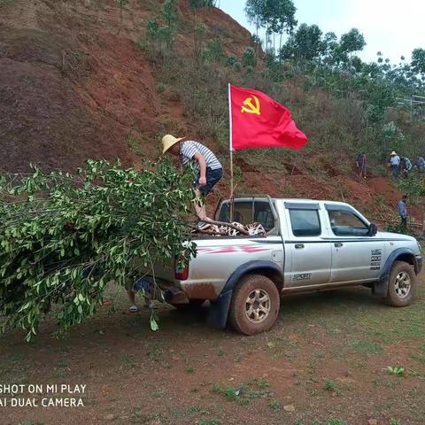 不忘初心、牢记使命 绿色家园 党群共建