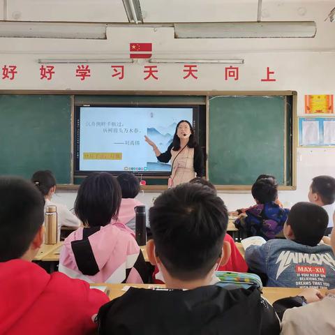 数中有学，学而乐教——遂平县文城乡中心小学数学教学公开课