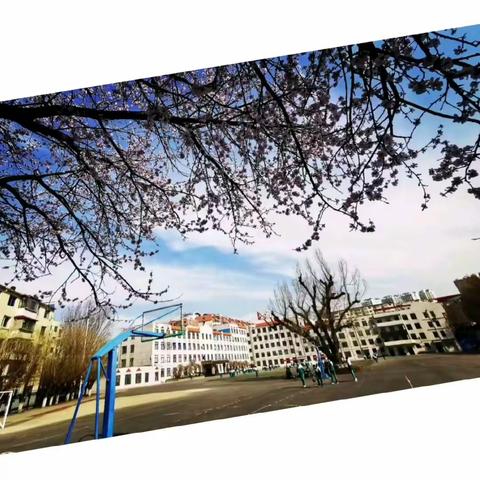 凝心聚力促成长，扬帆起航正当时！           ——实验中学七年英语组优秀英语笔记评选活动