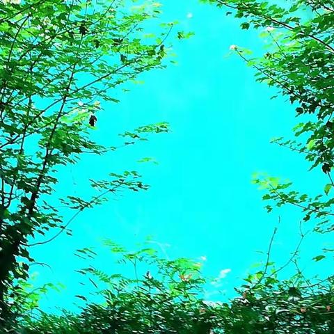 《九凤瑶池行》 图文：曲径通幽 ，摄影：垂钓人，阿来