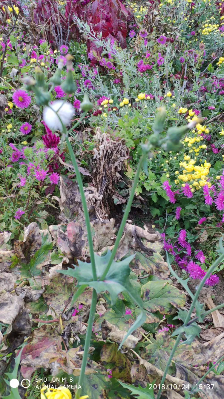 青州驼山写生基地