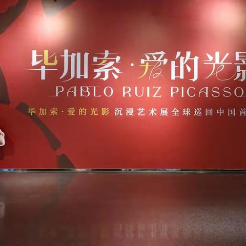 【初识毕加索】