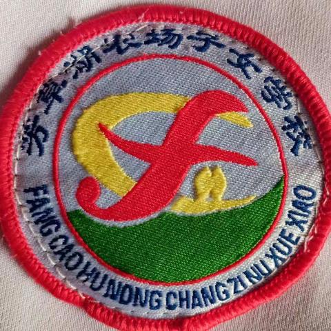 学习雷锋好榜样    雷锋精神伴我行——五年级3班线上主题班会