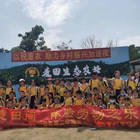 2021侨乐小学六艺班春季社会实践活动——从化麦田生态园，新“趣”处——世外桃源！