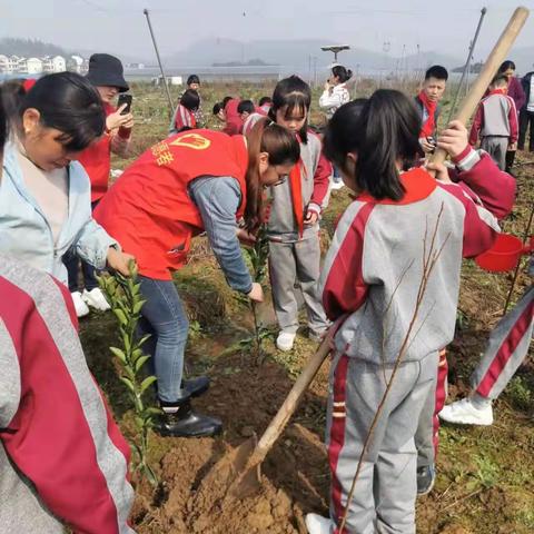 邓家乡开展”走进田园 悦动童年“农耕科普体验活动