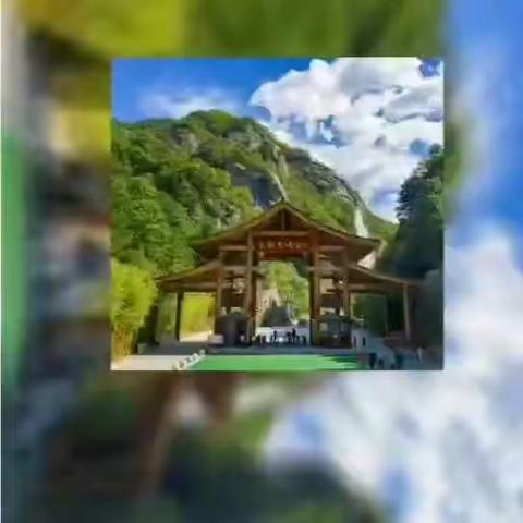 河南省幼儿师范工艺美术专业集训写生安排