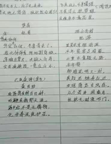 沁阳市实验中学初一十九班优秀作业