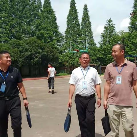 辛勤耕耘结硕果，砥砺奋进谱新篇——镇桥乐安小学期末工作检查