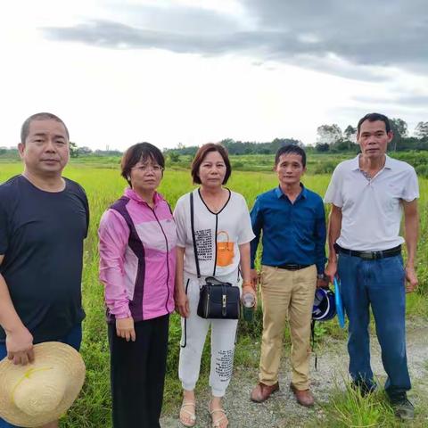 儋州市农林科学院水稻机械化还田专项小组到东成镇督导秸秆还田工作