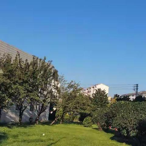 重阳节近送“礼”忙